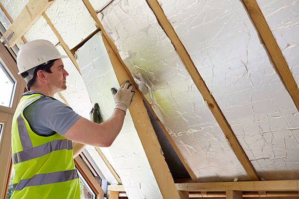 Best Home Insulation Services  in USA